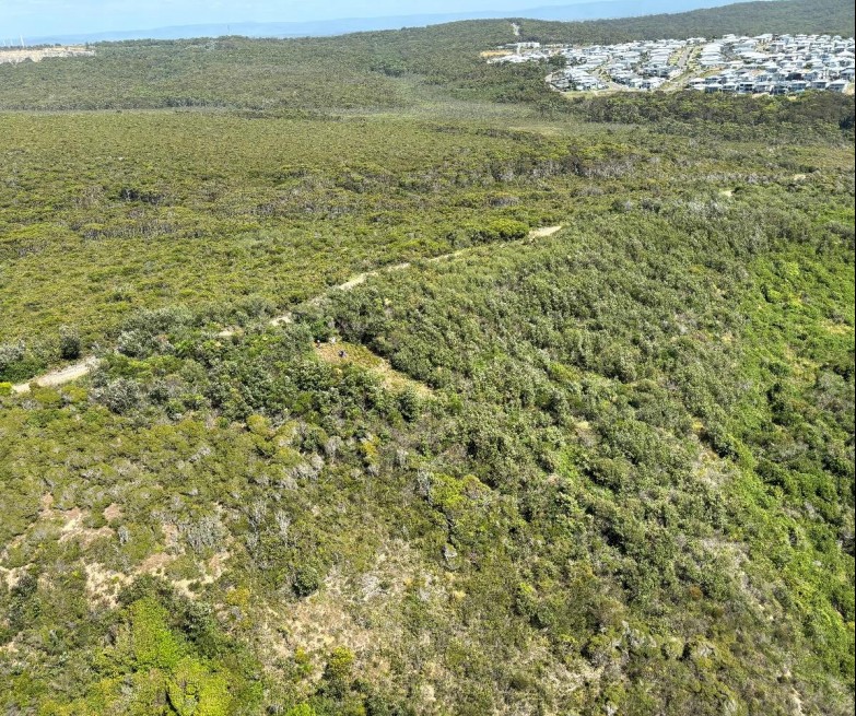 Aerial view of launch