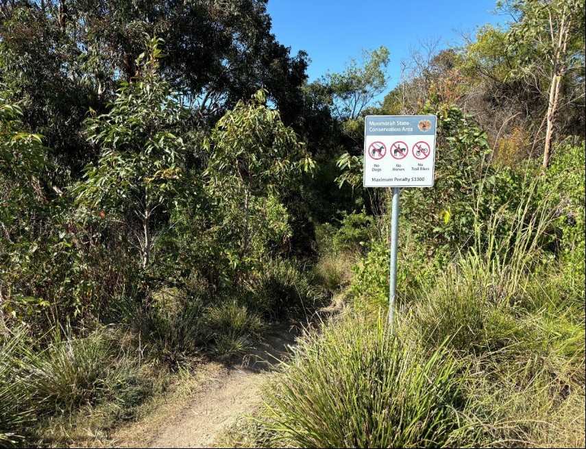 Start of walking track